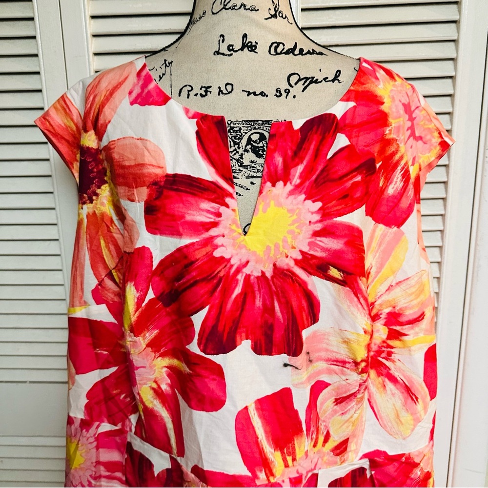 Kim Rogers plus size dress - Picture 2 of 3